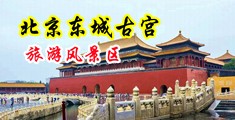女人的逼被鸡鸡插入视频中国北京-东城古宫旅游风景区